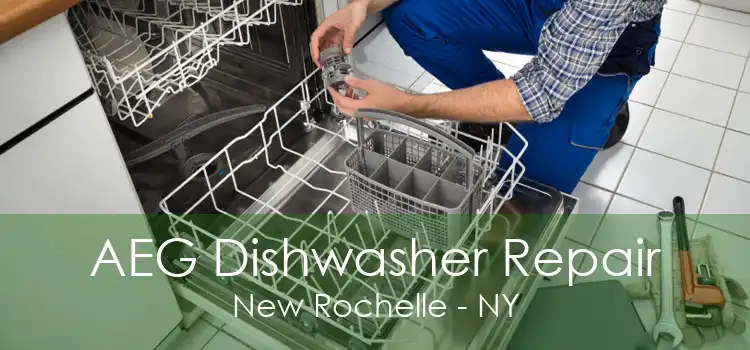 AEG Dishwasher Repair New Rochelle - NY