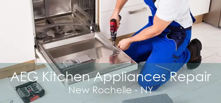 AEG Kitchen Appliances Repair New Rochelle - NY