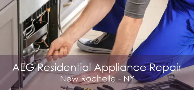 AEG Residential Appliance Repair New Rochelle - NY