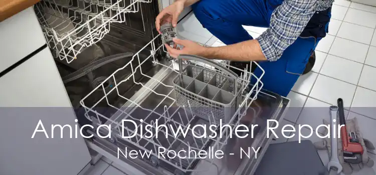 Amica Dishwasher Repair New Rochelle - NY