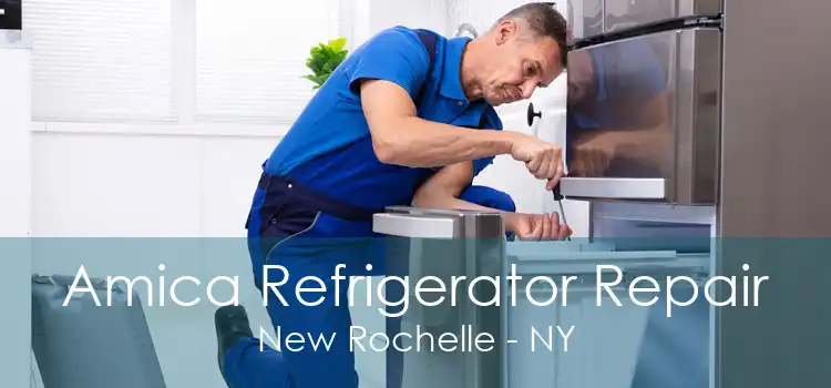 Amica Refrigerator Repair New Rochelle - NY