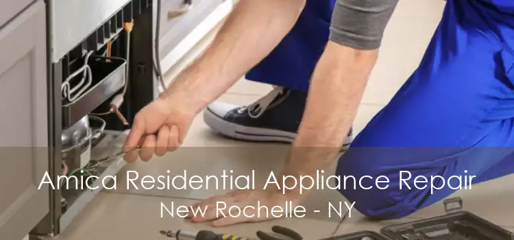 Amica Residential Appliance Repair New Rochelle - NY
