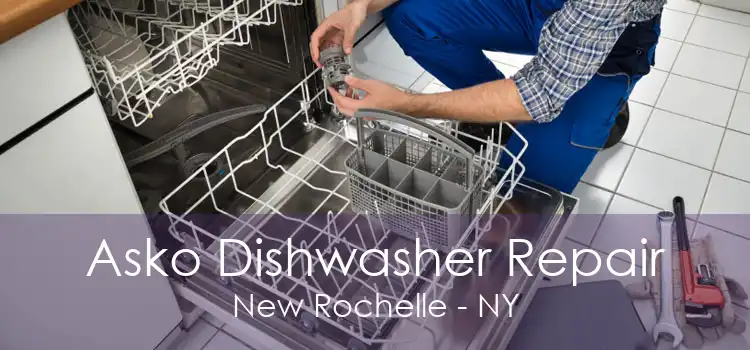 Asko Dishwasher Repair New Rochelle - NY