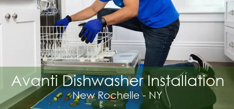 Avanti Dishwasher Installation New Rochelle - NY