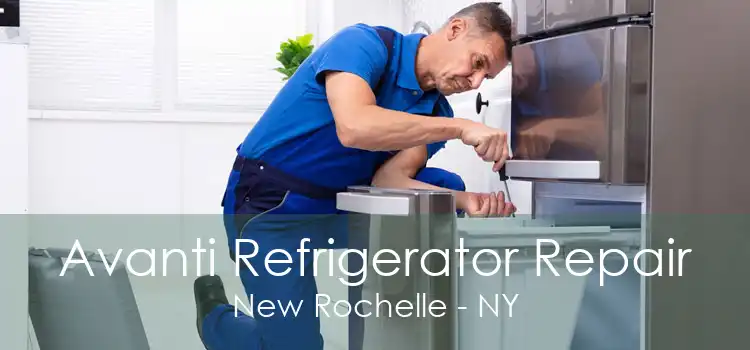 Avanti Refrigerator Repair New Rochelle - NY