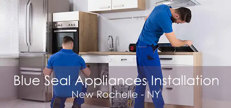 Blue Seal Appliances Installation New Rochelle - NY