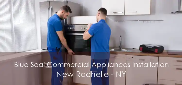 Blue Seal Commercial Appliances Installation New Rochelle - NY