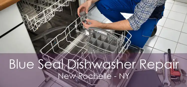 Blue Seal Dishwasher Repair New Rochelle - NY