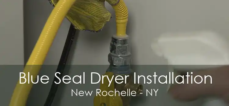 Blue Seal Dryer Installation New Rochelle - NY