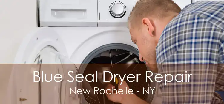 Blue Seal Dryer Repair New Rochelle - NY