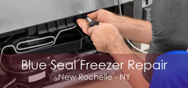 Blue Seal Freezer Repair New Rochelle - NY