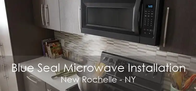 Blue Seal Microwave Installation New Rochelle - NY
