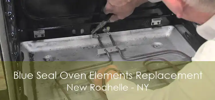 Blue Seal Oven Elements Replacement New Rochelle - NY