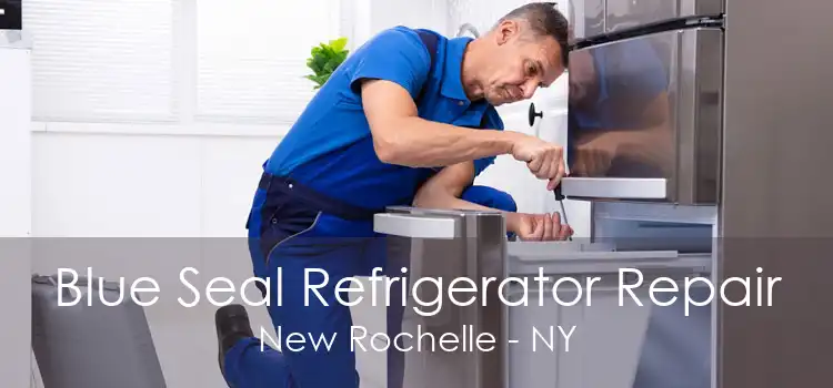 Blue Seal Refrigerator Repair New Rochelle - NY