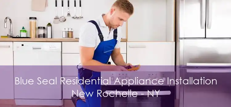 Blue Seal Residential Appliance Installation New Rochelle - NY
