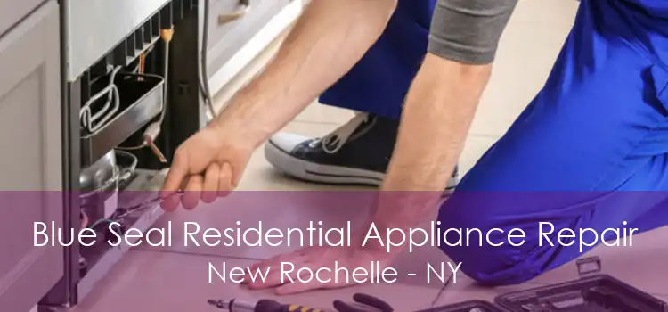 Blue Seal Residential Appliance Repair New Rochelle - NY