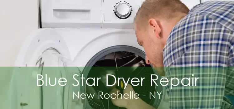 Blue Star Dryer Repair New Rochelle - NY