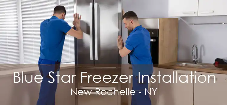 Blue Star Freezer Installation New Rochelle - NY