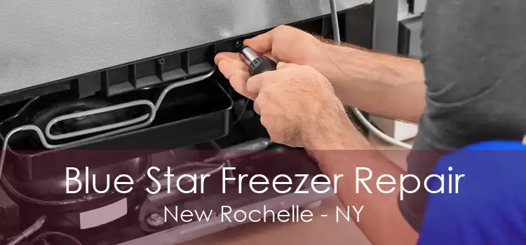 Blue Star Freezer Repair New Rochelle - NY