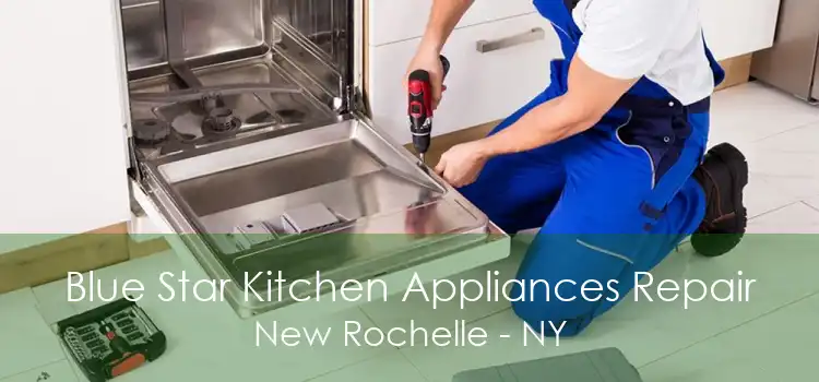 Blue Star Kitchen Appliances Repair New Rochelle - NY