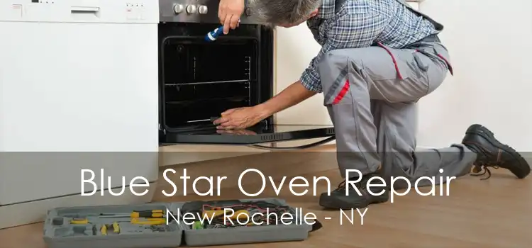Blue Star Oven Repair New Rochelle - NY