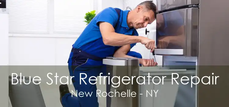 Blue Star Refrigerator Repair New Rochelle - NY