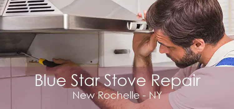 Blue Star Stove Repair New Rochelle - NY