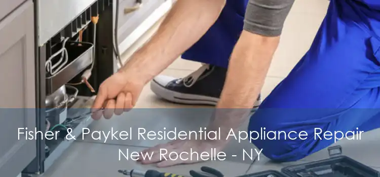 Fisher & Paykel Residential Appliance Repair New Rochelle - NY
