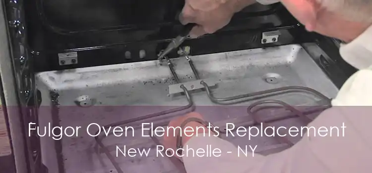 Fulgor Oven Elements Replacement New Rochelle - NY