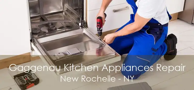 Gaggenau Kitchen Appliances Repair New Rochelle - NY