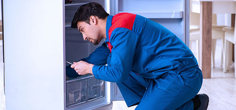 Viking Freezer Repair Services in New Rochelle, New York