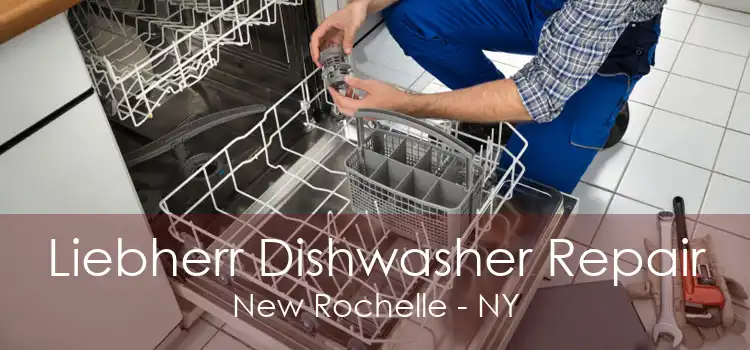 Liebherr Dishwasher Repair New Rochelle - NY