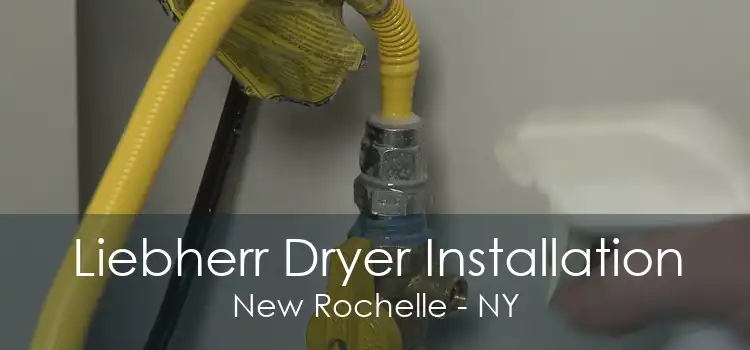 Liebherr Dryer Installation New Rochelle - NY
