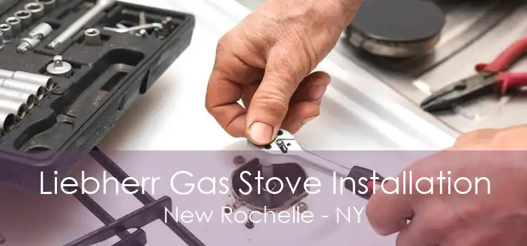 Liebherr Gas Stove Installation New Rochelle - NY
