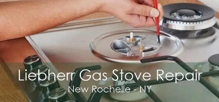 Liebherr Gas Stove Repair New Rochelle - NY