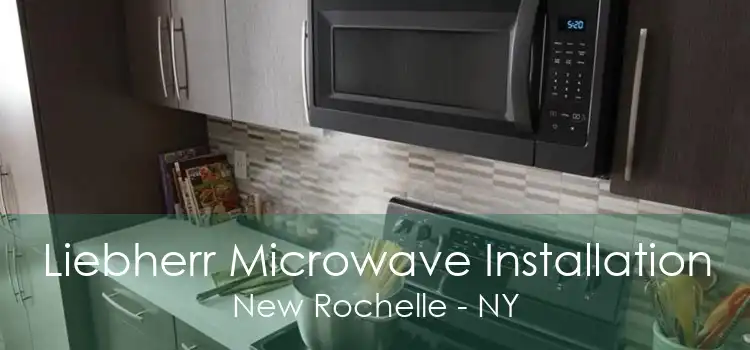 Liebherr Microwave Installation New Rochelle - NY