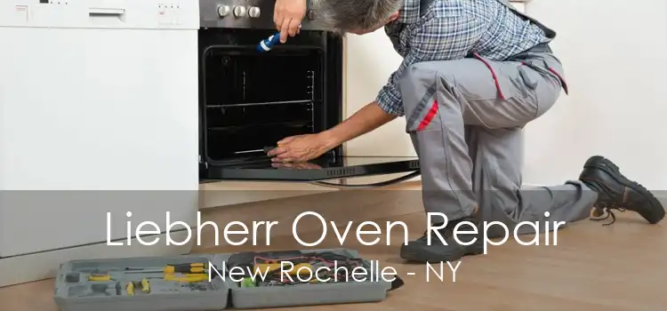 Liebherr Oven Repair New Rochelle - NY