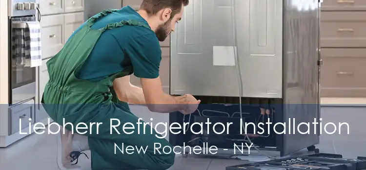 Liebherr Refrigerator Installation New Rochelle - NY