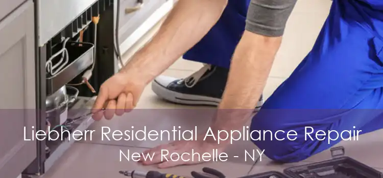 Liebherr Residential Appliance Repair New Rochelle - NY