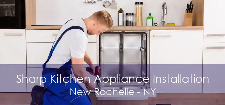 Sharp Kitchen Appliance Installation New Rochelle - NY