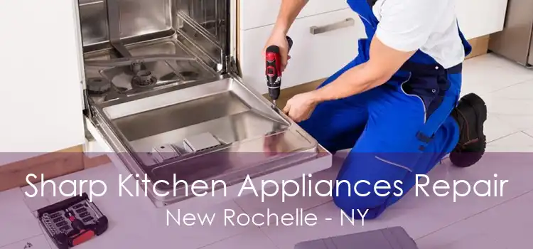 Sharp Kitchen Appliances Repair New Rochelle - NY