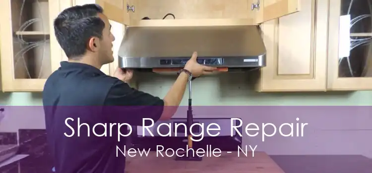 Sharp Range Repair New Rochelle - NY