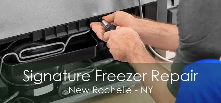 Signature Freezer Repair New Rochelle - NY