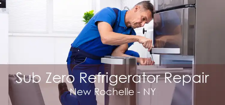 Sub Zero Refrigerator Repair New Rochelle - NY