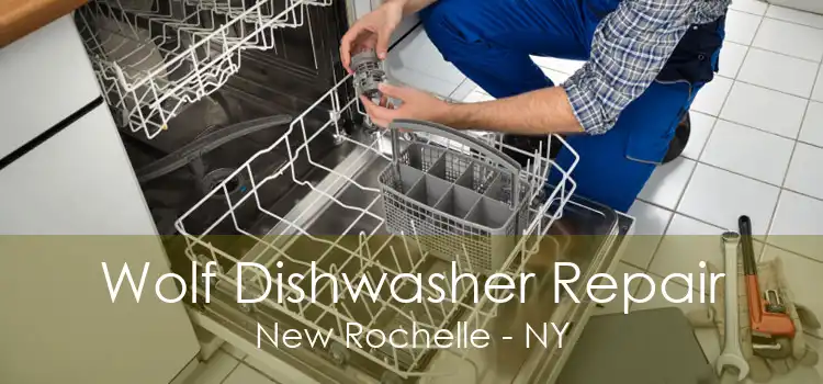 Wolf Dishwasher Repair New Rochelle - NY