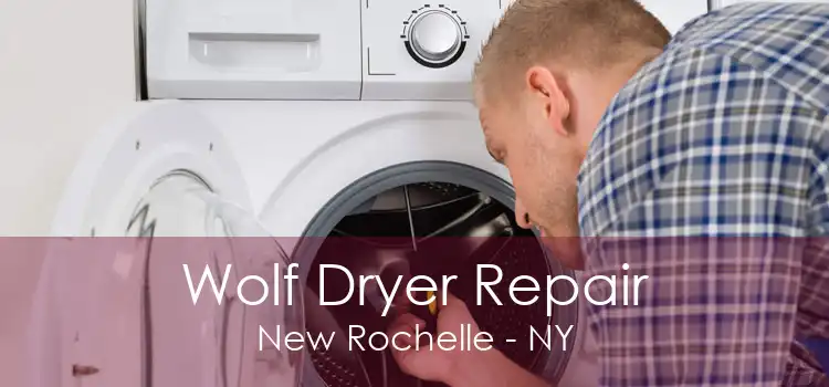 Wolf Dryer Repair New Rochelle - NY