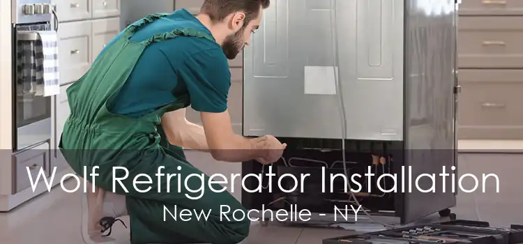 Wolf Refrigerator Installation New Rochelle - NY