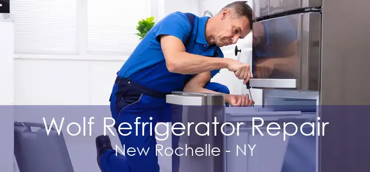 Wolf Refrigerator Repair New Rochelle - NY