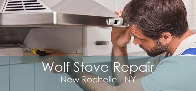 Wolf Stove Repair New Rochelle - NY