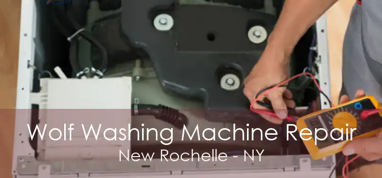 Wolf Washing Machine Repair New Rochelle - NY